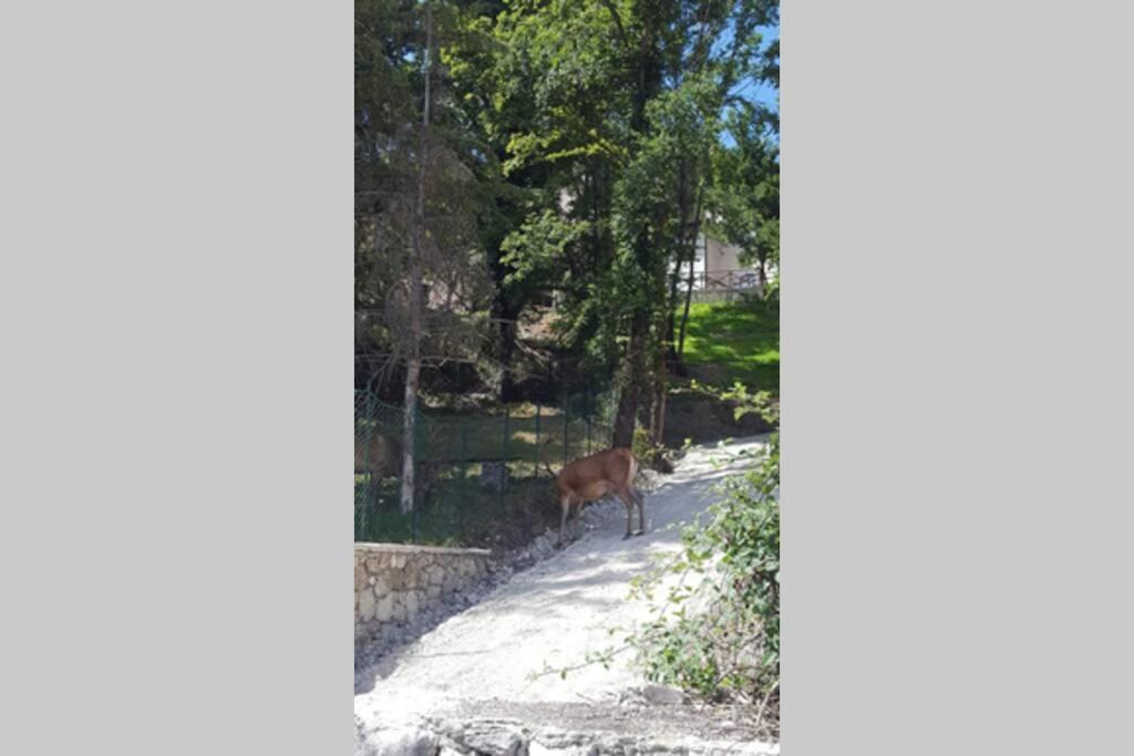 Casa Vacanze Al Castello Villetta Barrea Exteriér fotografie