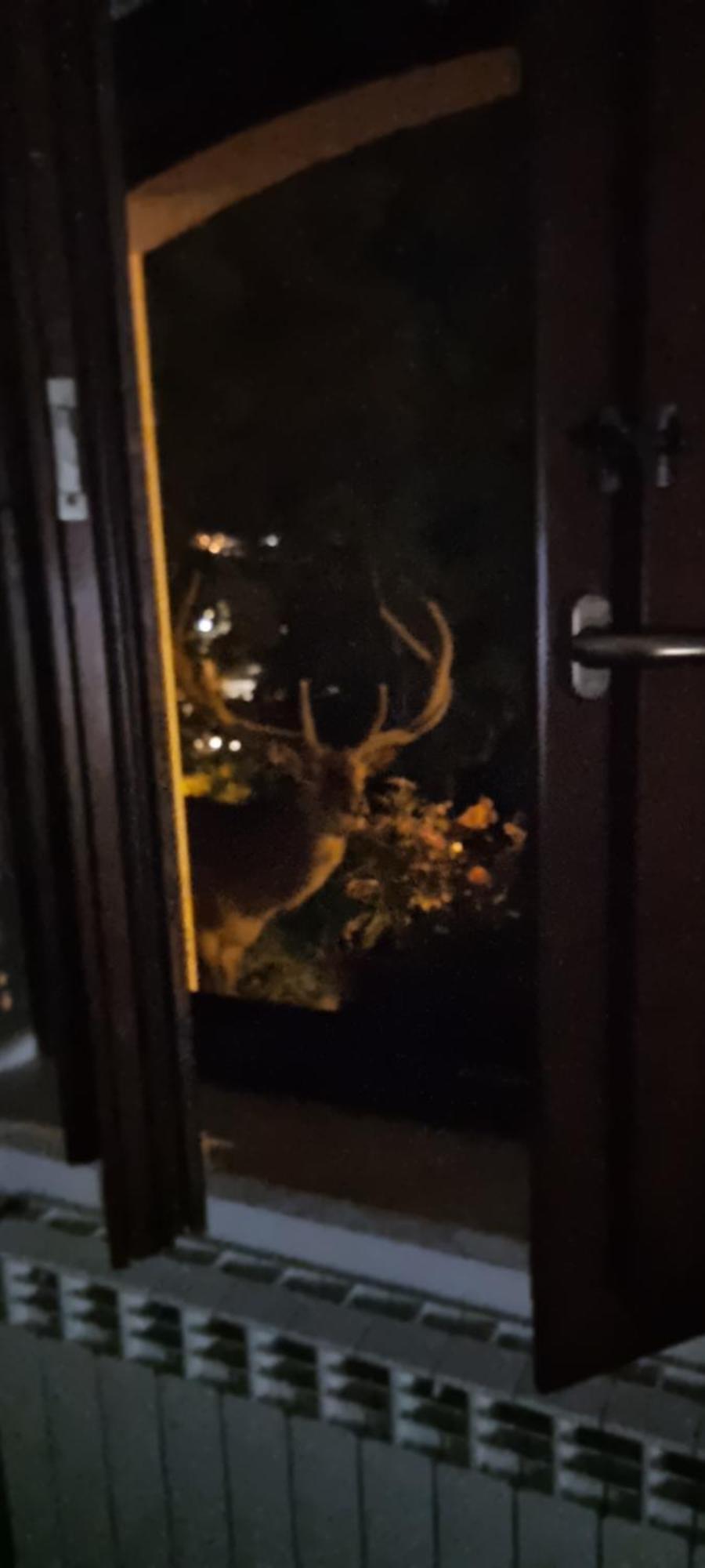 Casa Vacanze Al Castello Villetta Barrea Pokoj fotografie